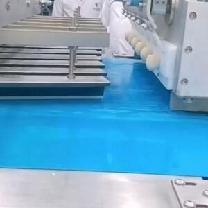 2024 BME Bun and Roll Extrusion System