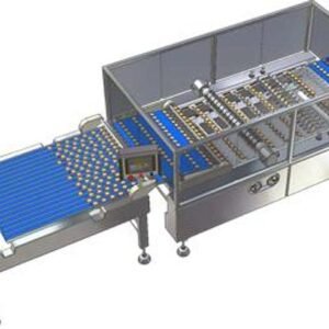 New Never Used 2021 VDE Machines 24 Row Flow Through Sandwich System